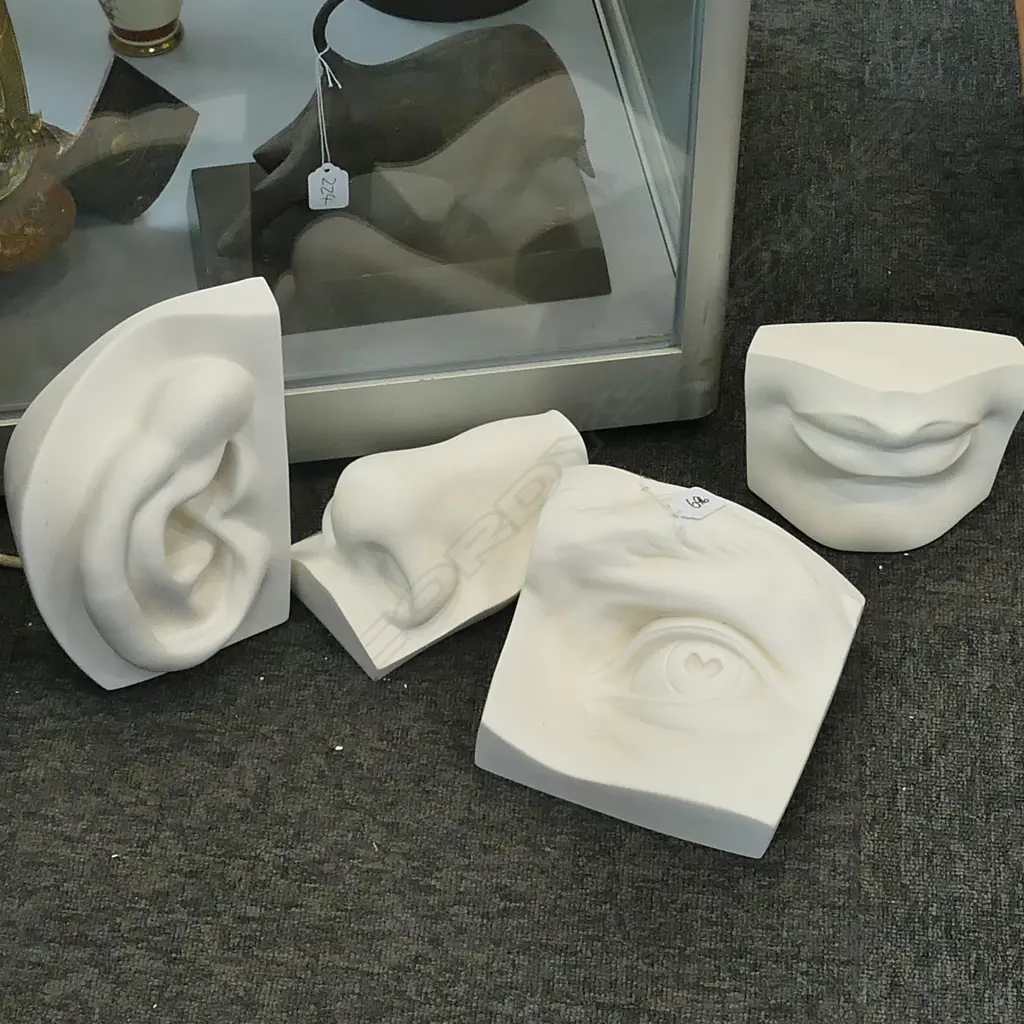 4 PLASTER MOULDS BRITISH MUSEUM; NOSE 180MM L, EAR, MOUTH & EYE Image 1++