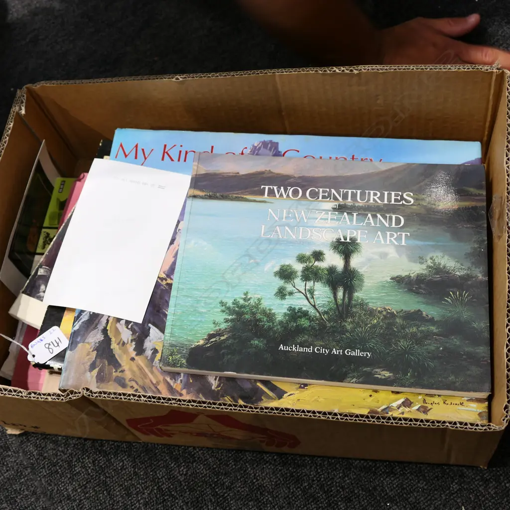 SMALL LOT ASST ART BOOKS / MAGAZINES INCL. DOUGLAS BADCOCK ETC Image 1++