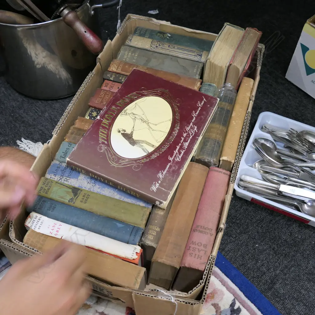 LOT ASSORTED BOOKS HG WELLS, ZANE GREY ETC Image 1++