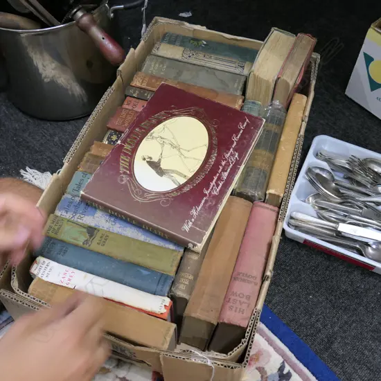 LOT ASSORTED BOOKS HG WELLS, ZANE GREY ETC