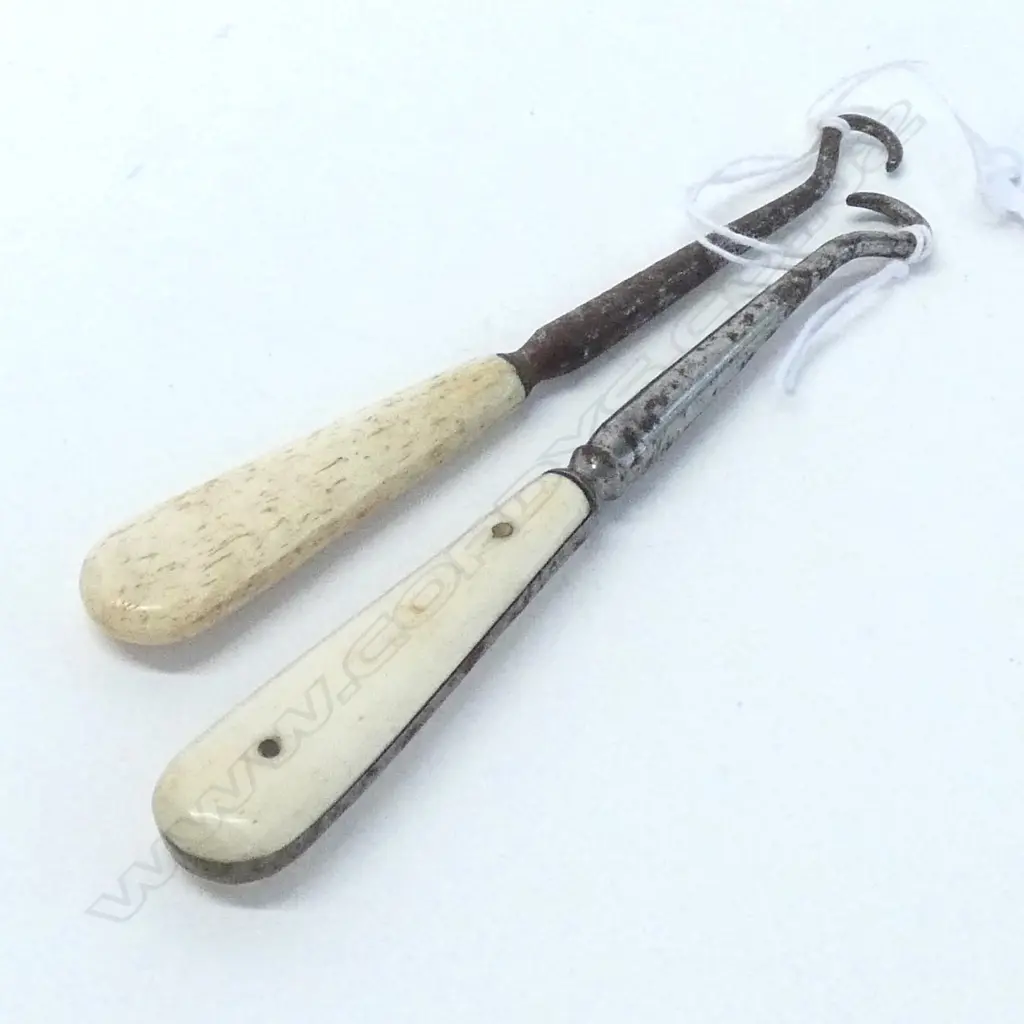WHALE BONE ANTIQUE BUTTON BOOTHOOKS Image 1++