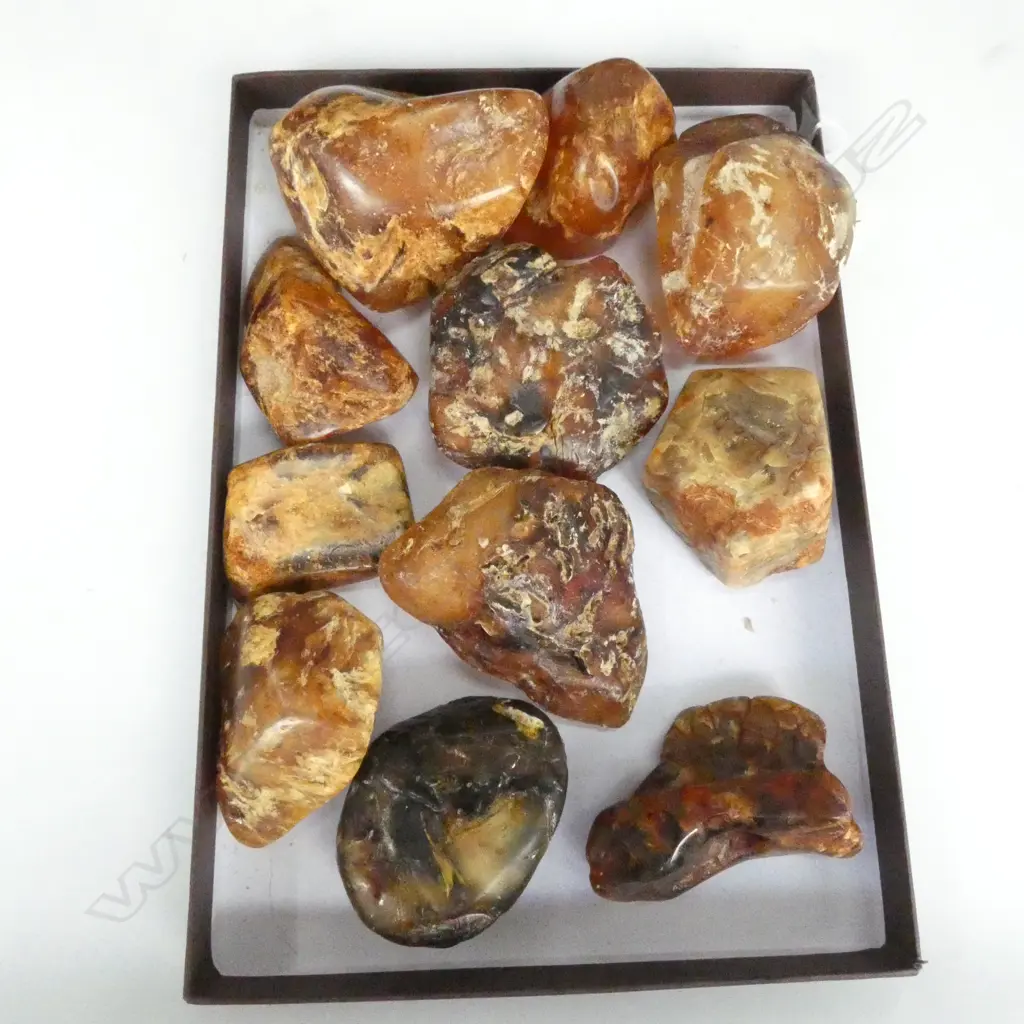 11 KAURI GUM NUGGETS Image 1++