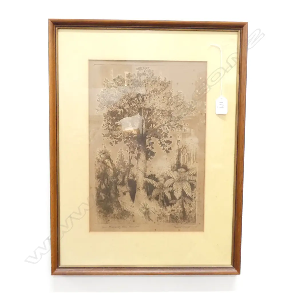 TREVOR LLYOD ENGRAVING HIS MAJESTY THE KAURI TREE 230 X 360 MM Image 1++