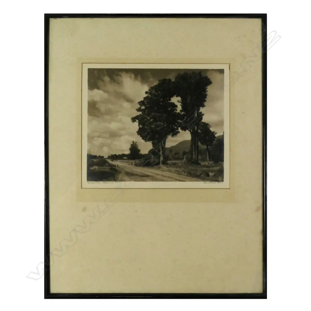 GEORGE CHANCE PHOTOGRAPH 'NATIONAL PARK - TONGARIRO, NZ' SIGNED & TITLED 205 x 250mm Image 1++