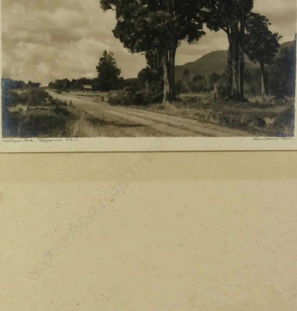 GEORGE CHANCE PHOTOGRAPH 'NATIONAL PARK - TONGARIRO, NZ' SIGNED & TITLED 205 x 250mm Image 1++