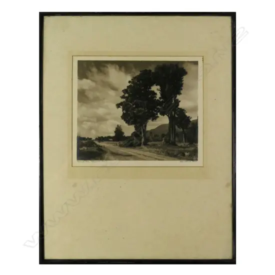 GEORGE CHANCE PHOTOGRAPH 'NATIONAL PARK - TONGARIRO, NZ' SIGNED & TITLED 205 x 250mm