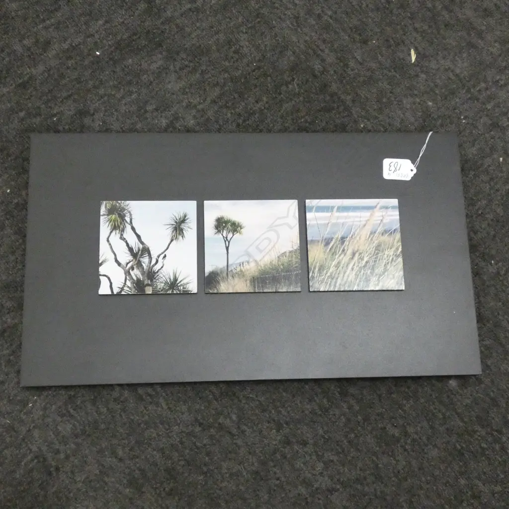 LENORE FARRELLY NZ PHOTO MONTAGE  Image 1++