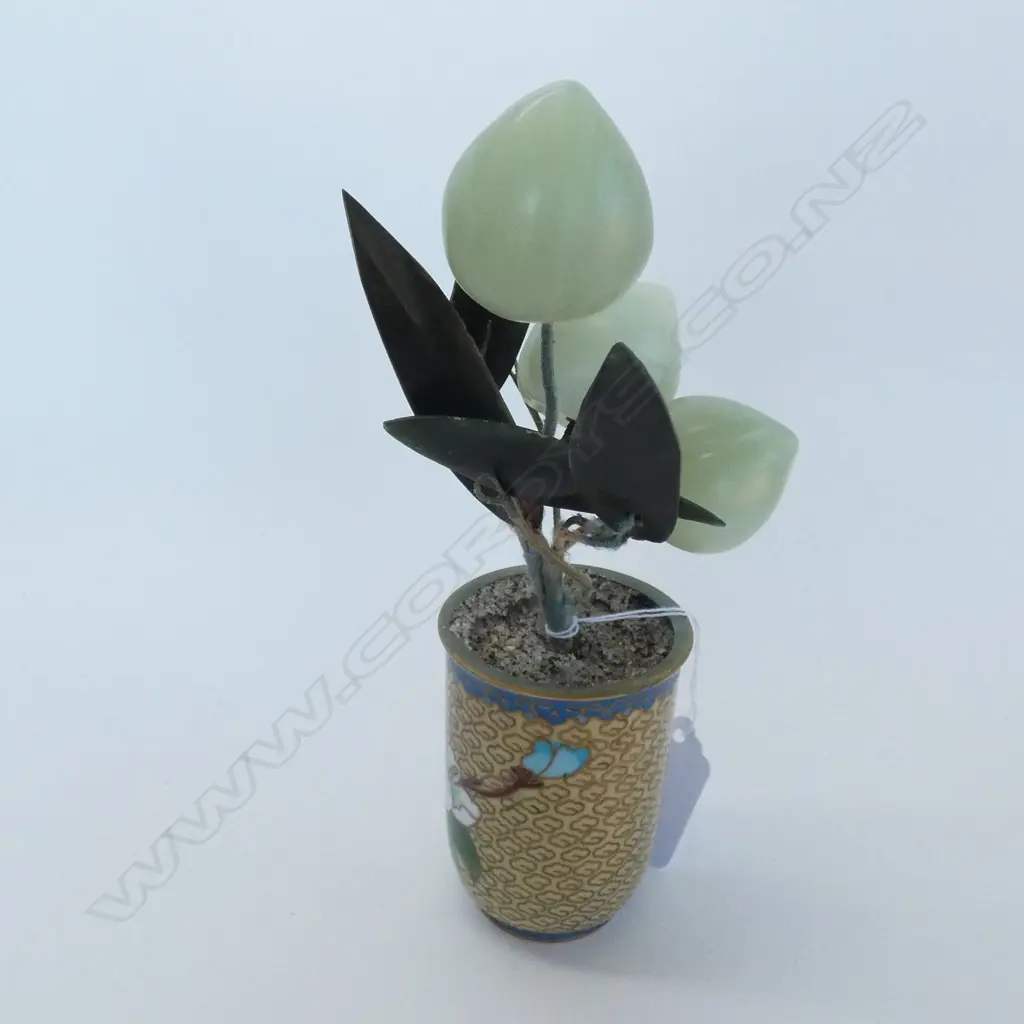 CHINESE JADE TREE IN CLOISONNE VASE H. 190MM Image 1++