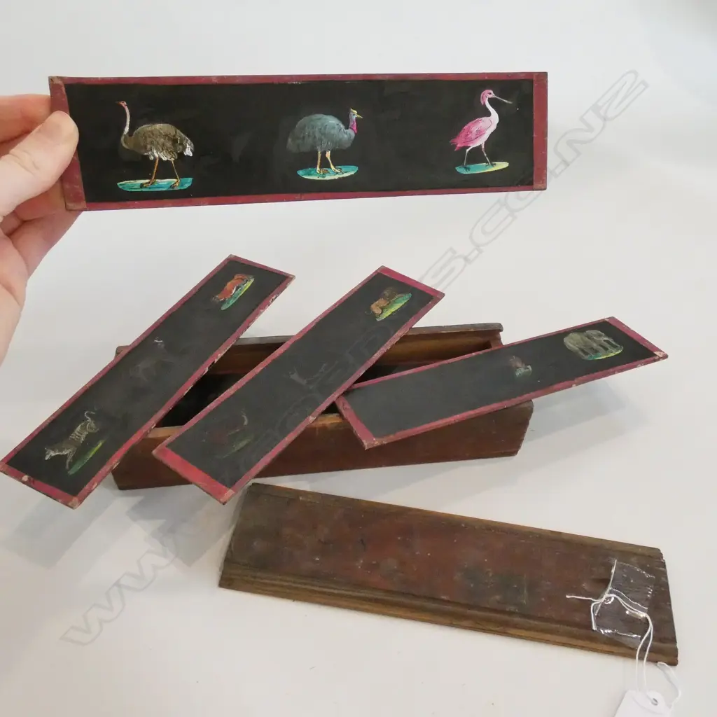 VINTAGE CASED GLASS SLIDES Image 1++