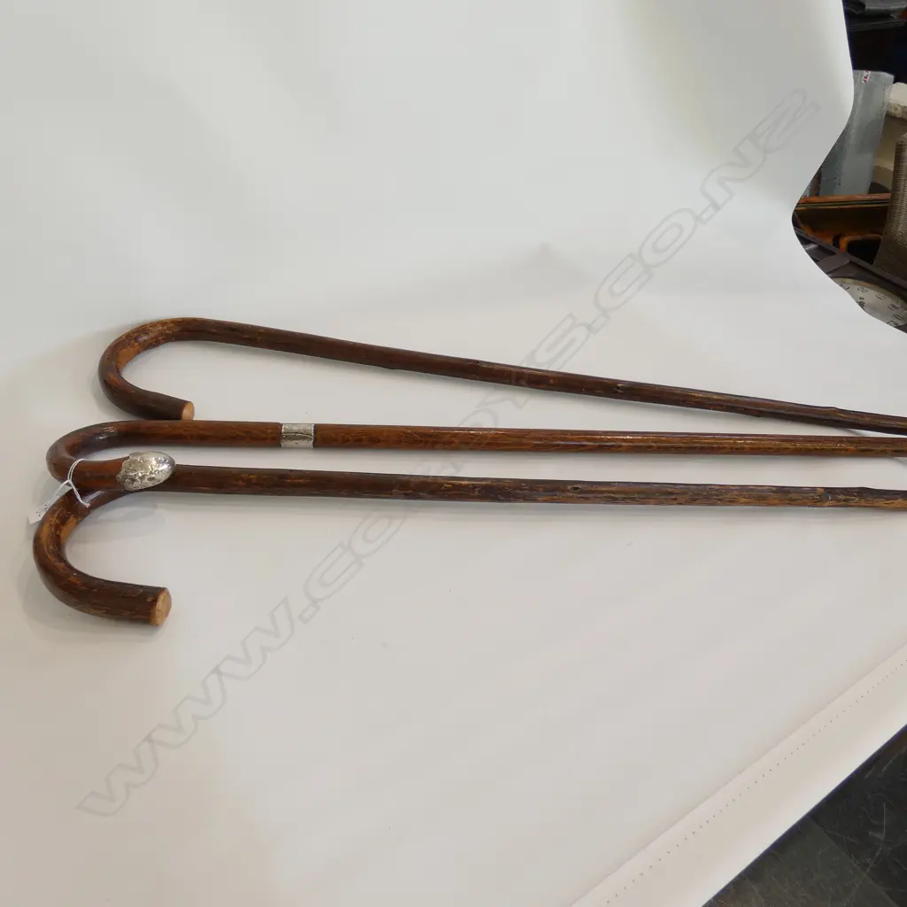 3 WALKING STICKS ONE STG HALLMARKED L. 760MM Image 1++