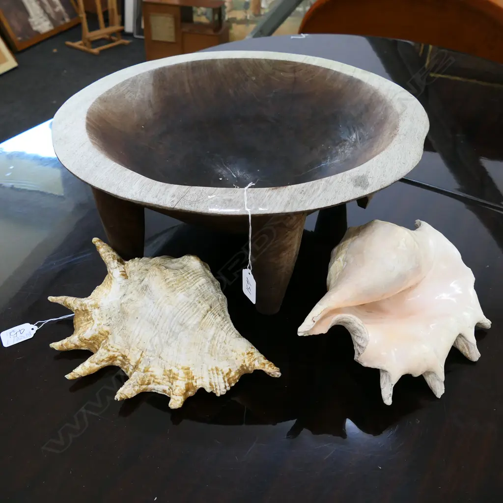 KAVA BOWL 450MM DIA & 2 SHELLS  Image 1++