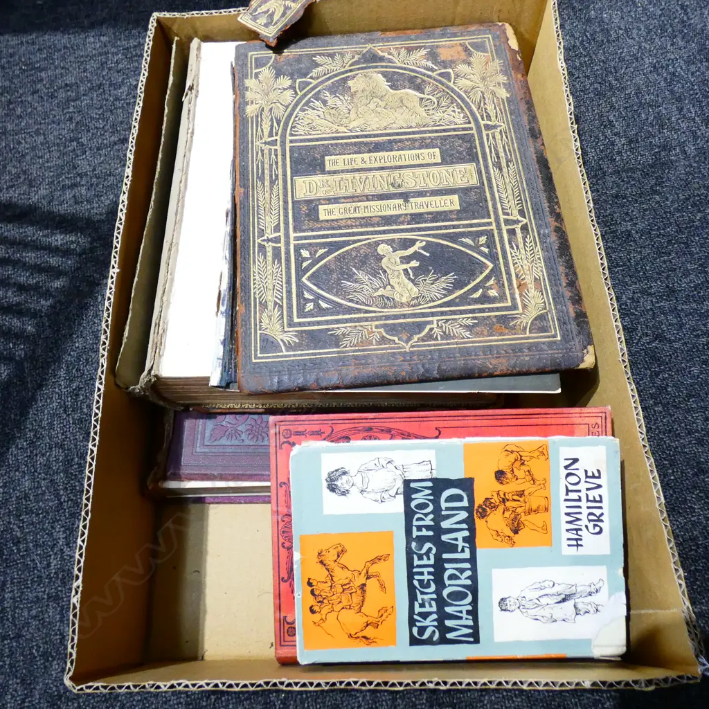 BOX LOT VINTAGE / ANTIQUE BOOKS INCL. 'LIFE & EXPLORATION OF LIVINGSTONE' 'SKETCHES FROM MAORILAND' ETC Image 1++