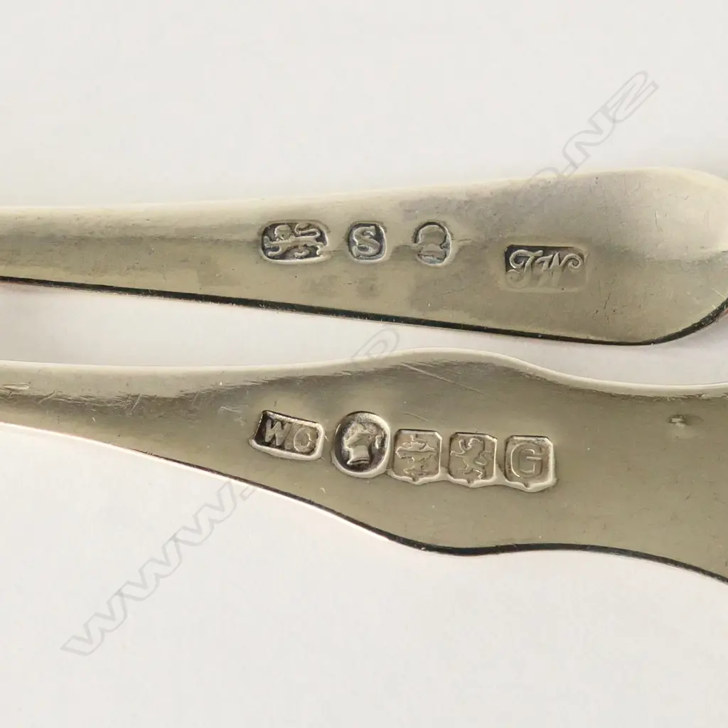 GEORGIAN SILVER TSP HANDLE & VICTORIAN SILVER TSP HANDLE BOTH WITH SILVER DOG CLIPS Image 1++