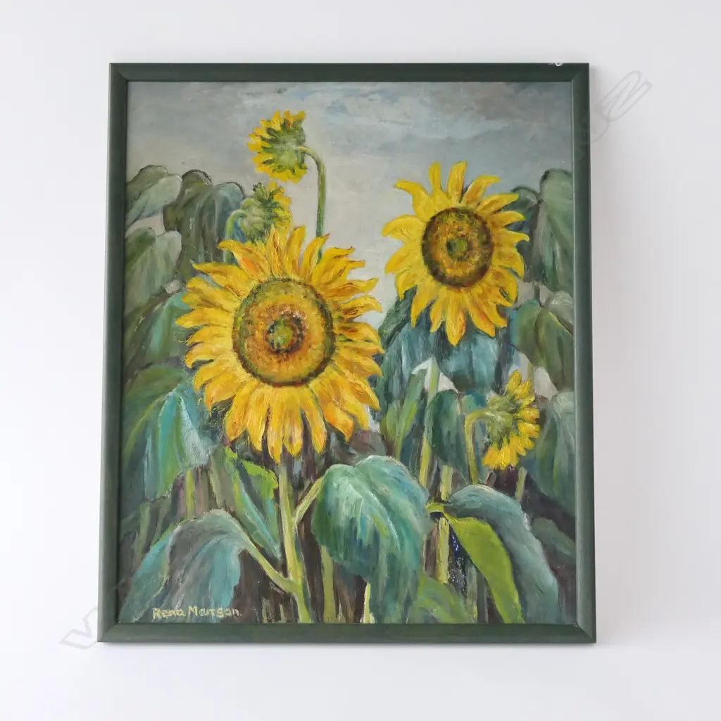 RENA MANSON SUNFLOWERS OIL ON BOARD 545 X 645MM Image 1++