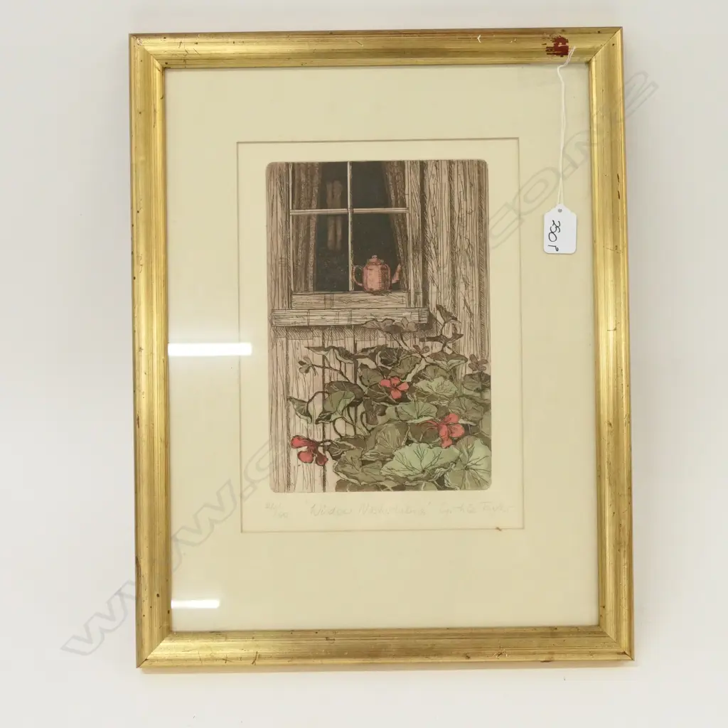 CYNTHIA TAYLOR WINDOW NASTURTANIS, 24/60, 480MM Image 1++