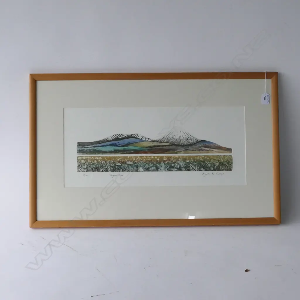 ANGELA R. WALKER 'NGAURUHOE' PRINT NO. 8/100 770 X 470MM Image 1++