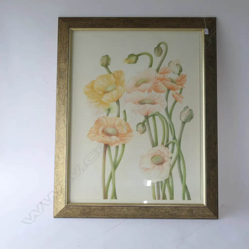 R. HUSTON POPPIES PENCIL SKETCH 1170 X 930MM  Image 1++