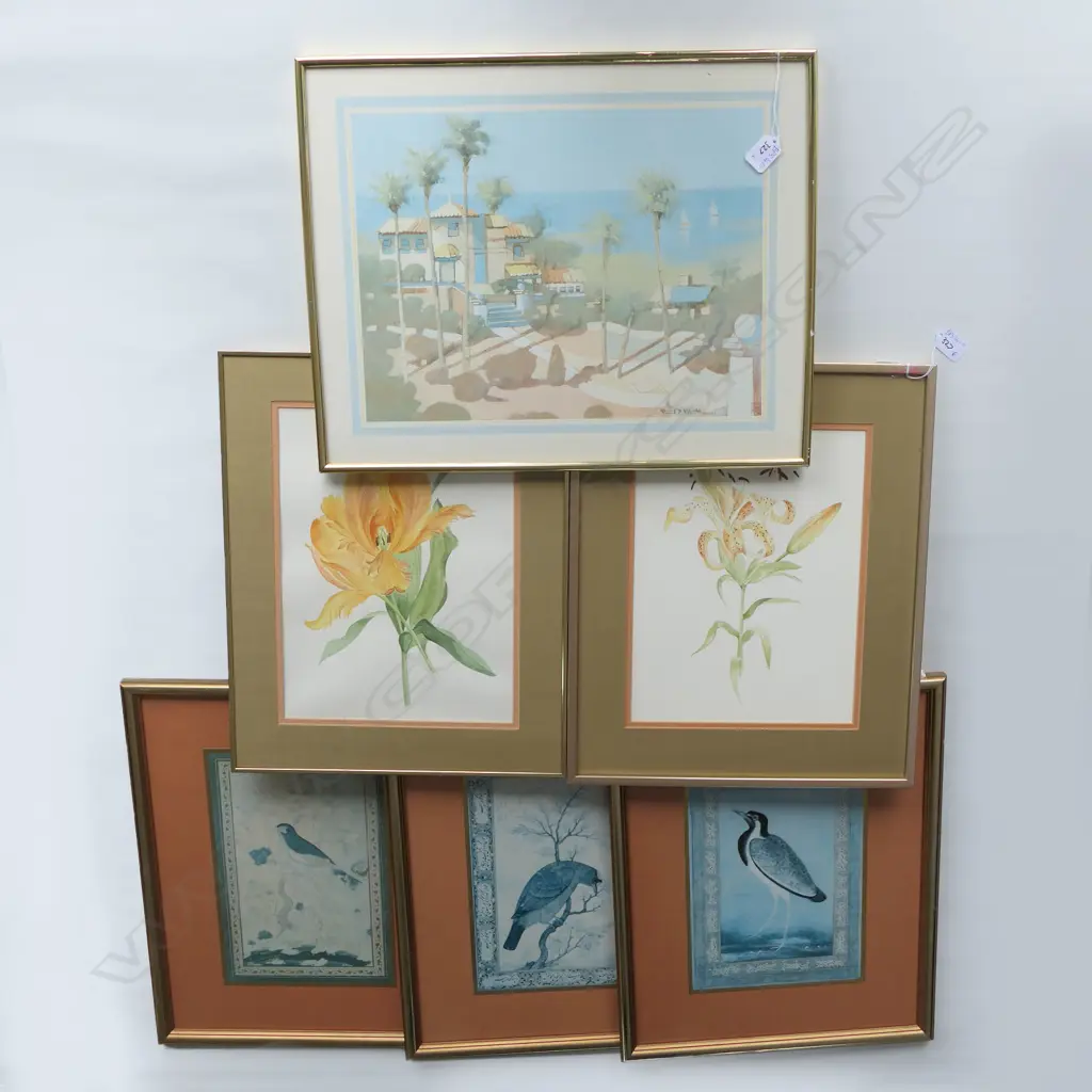 6 PRINTS; BIRDS, FLOWERS ETC Image 1++