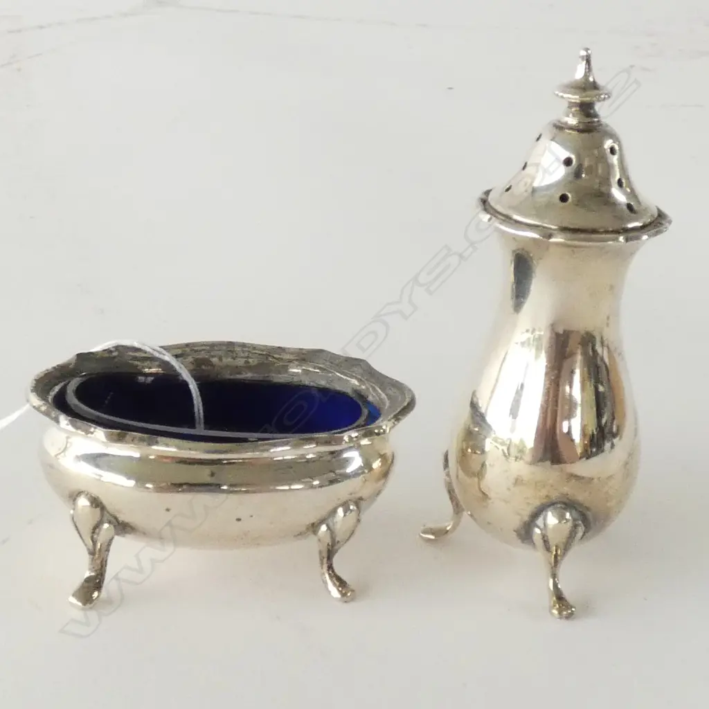 STG SILVER SALT + PEPPER POT Image 1++
