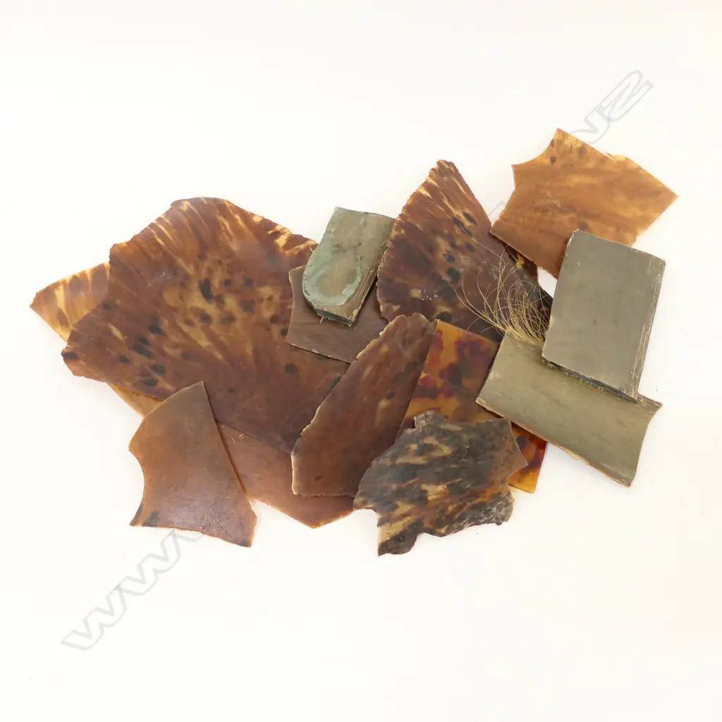 COLLECTION OF TORTOISESHELL PCES Image 1++