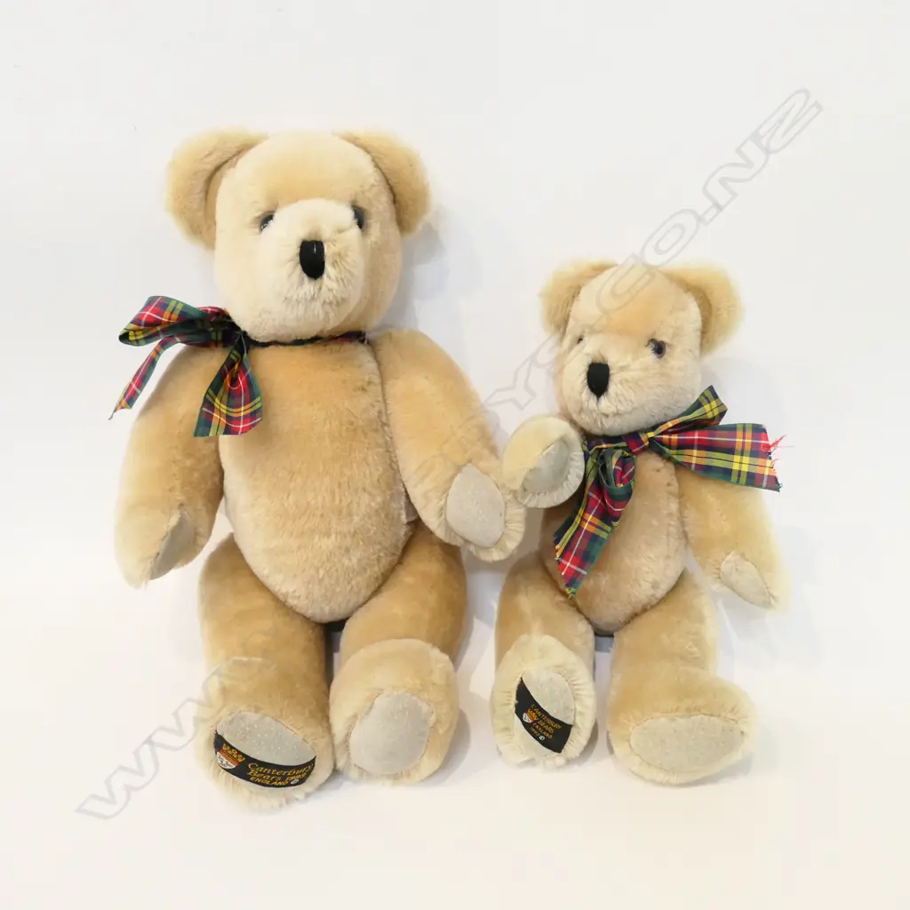 2 CANTERBURY BEARS L. 430MM Image 1++