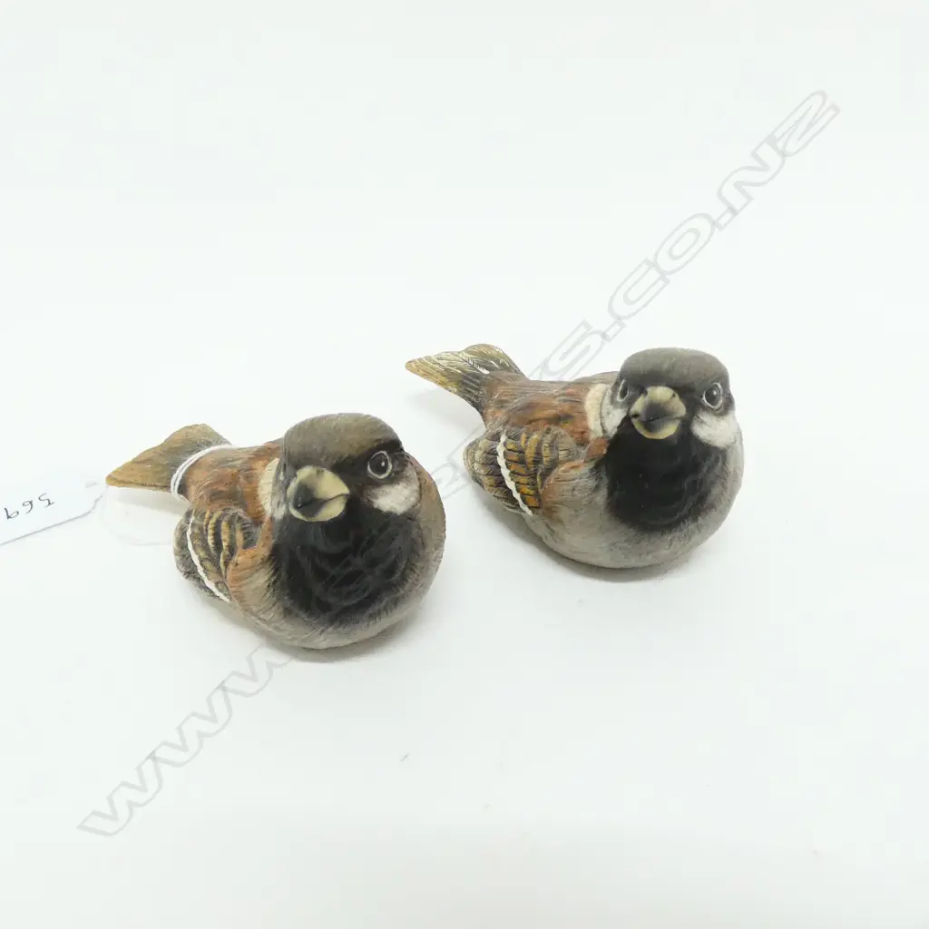 PR HEREFORD NZ WHITE HERON, SPARROW BIRDS Image 1++