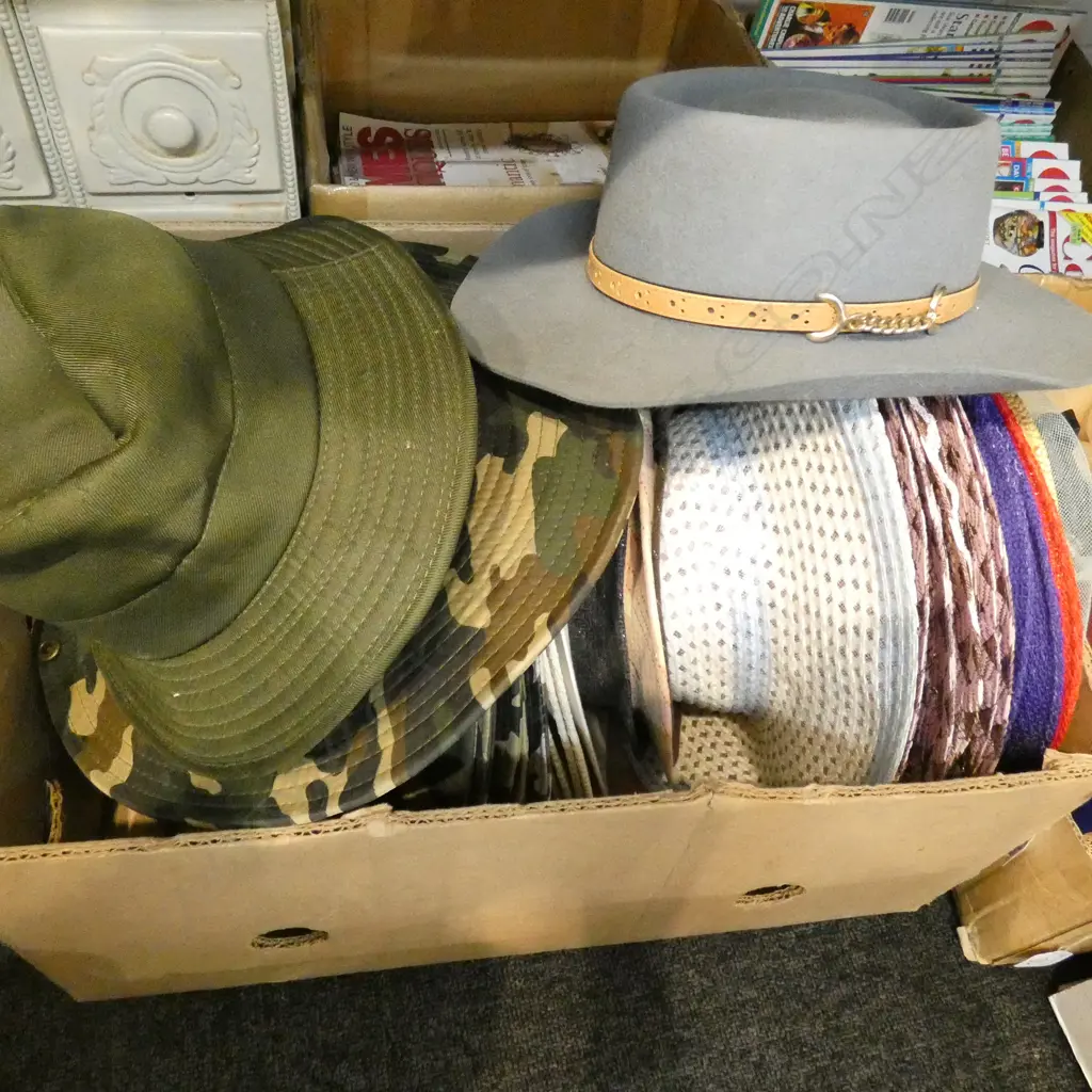 BOX LOT ASST. HATS Image 1++