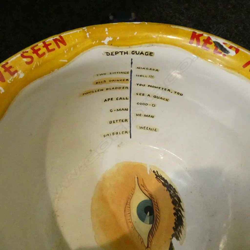 7 ENAMEL BAKING TRAYS & DECORATED POTTY Image 1++