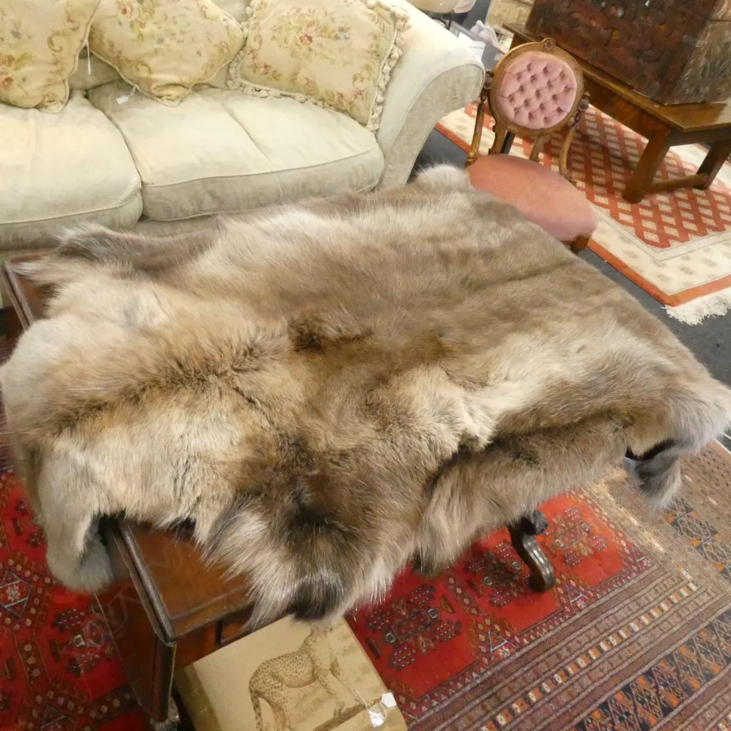 REINDEER HIDE L. 1400MM Image 1++