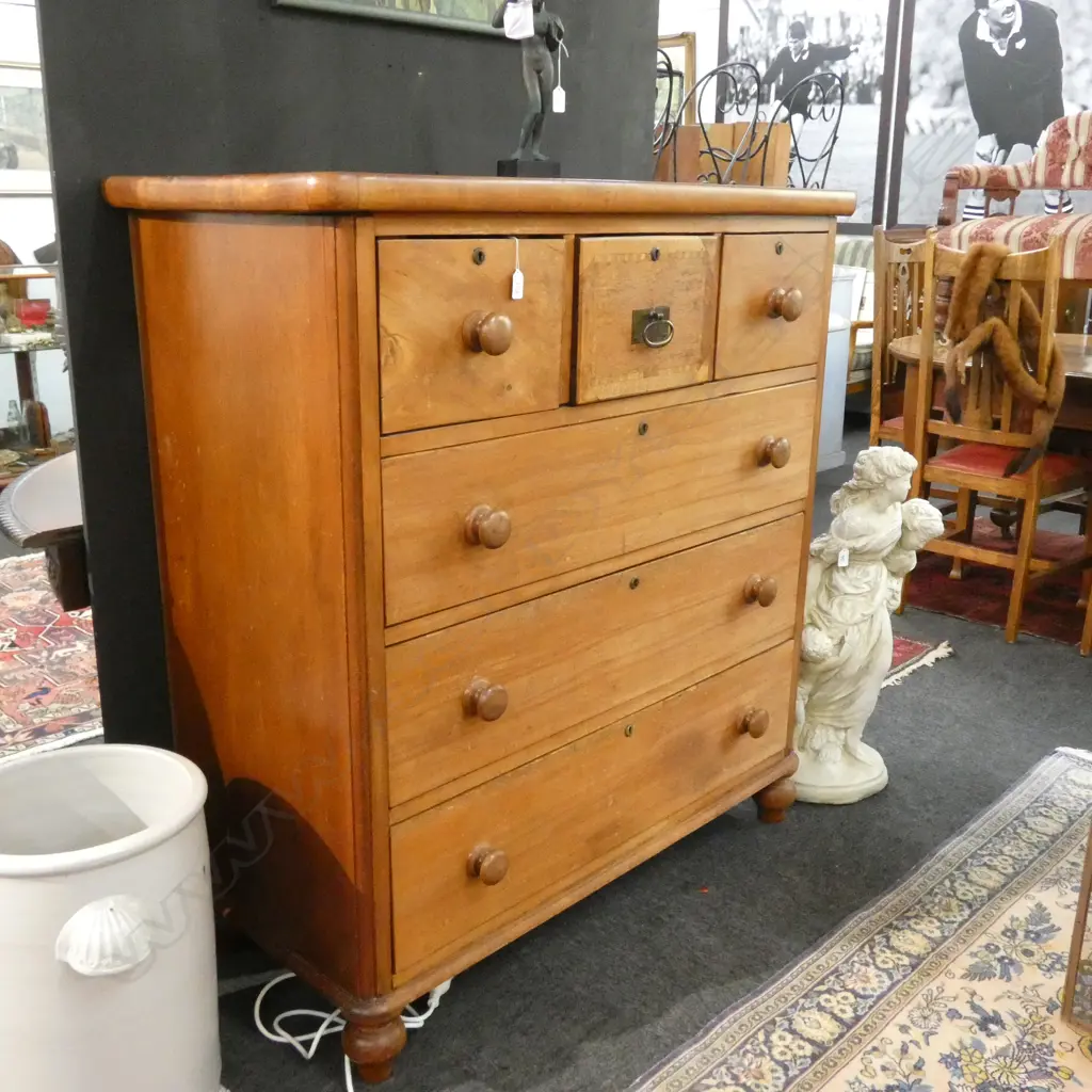 KAURI SCOTCH CHEST Image 1++