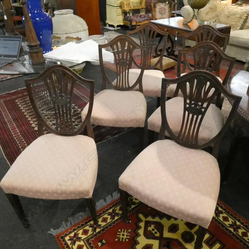 SIX HEPPLEWHITE STYLE MAHOGANY DINING CHAIRS Image 1++