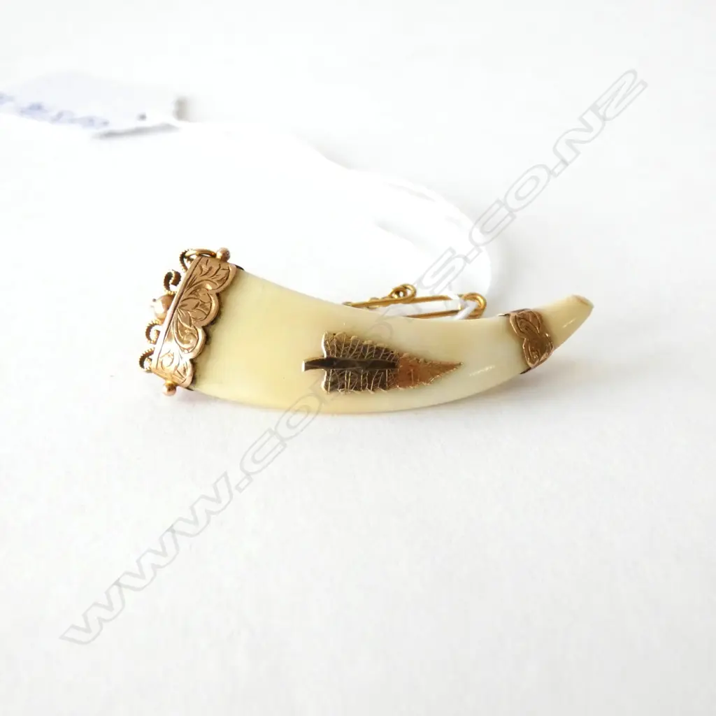 9CT NZ G.E.W. TUSK BROOCH Image 1++