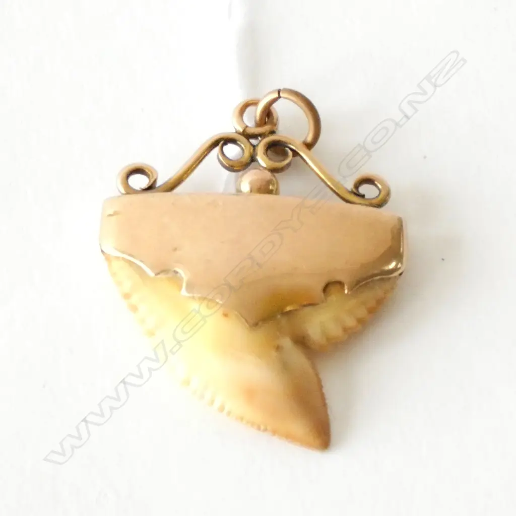 COLONIAL 9CT SHARK'S TOOTH PENDANT Image 1++