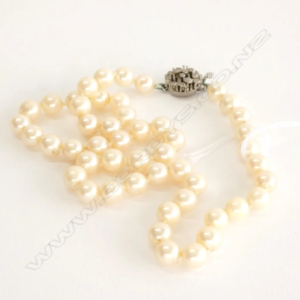 CULTURED PEARL NECKLACE WITH SILVER CLASP Image 1++