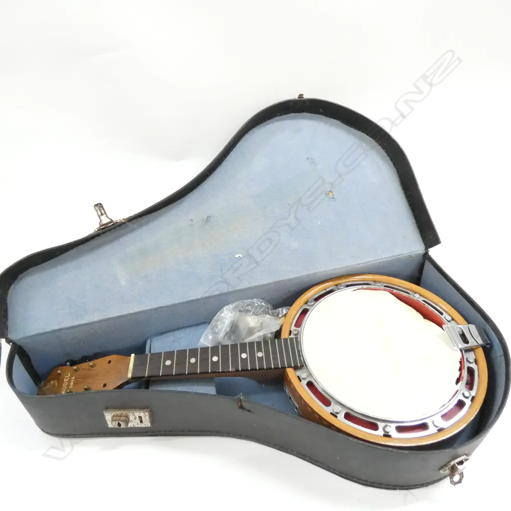 BANJO IN CASE AF  Image 1++