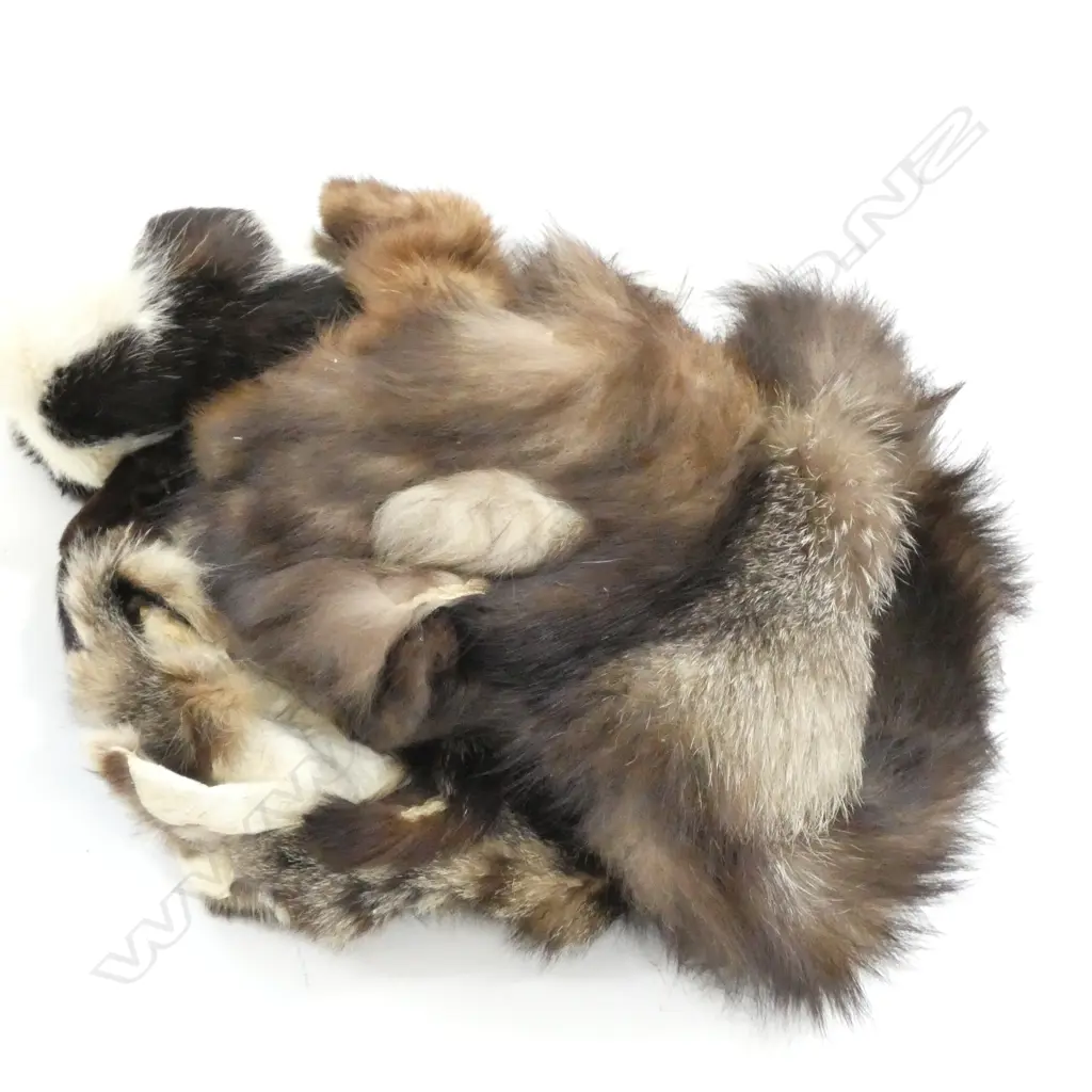 COLLECTION OF FURS / SKINS Image 1++