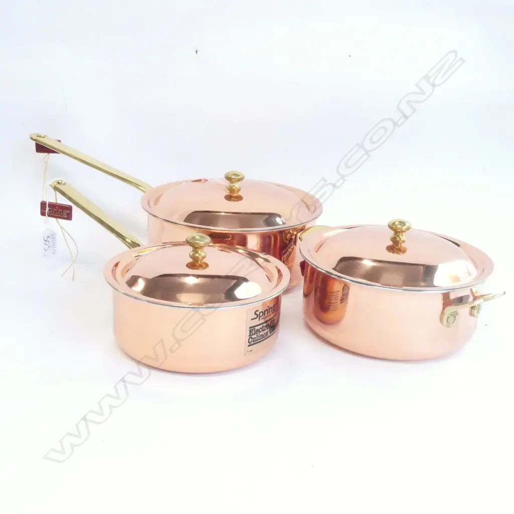 3 SPRING SWITZERLAND LIDDED ELECTROPLATED COPPER PANS Image 1++
