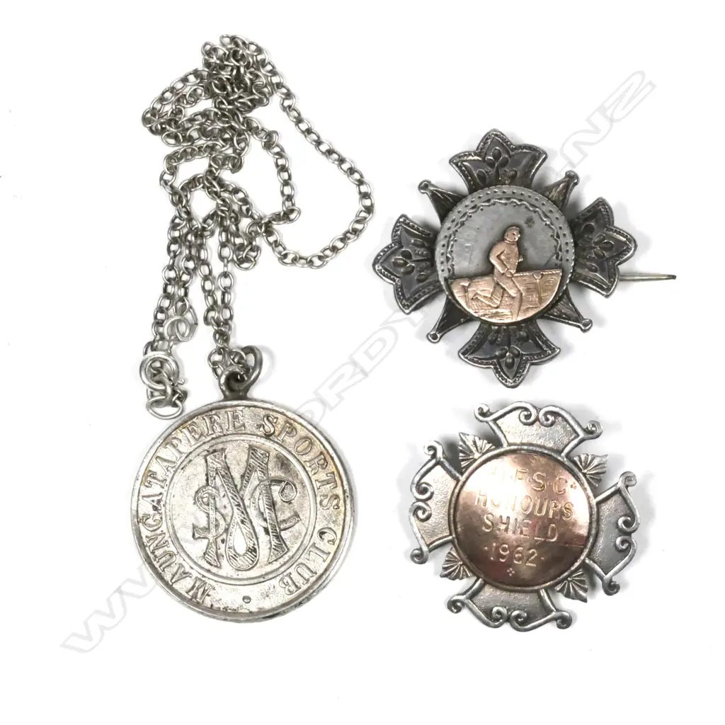 3 NZ SILVER MEDALLIONS. 1 WITH GOLD RUNNER.. Image 1++