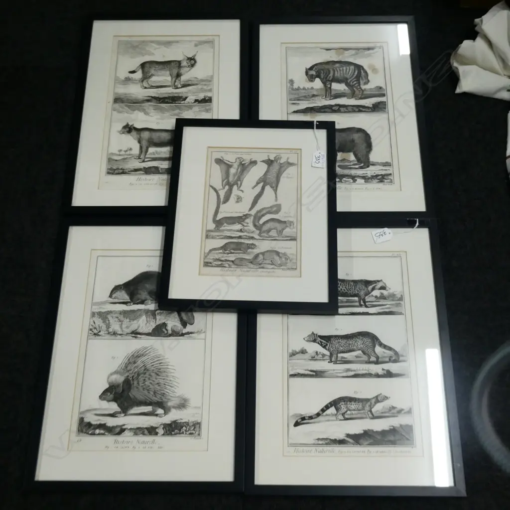 SET OF 4 HISTORIE NATURELLE PRINTS 470 X 340MM + 1 OTHER Image 1++