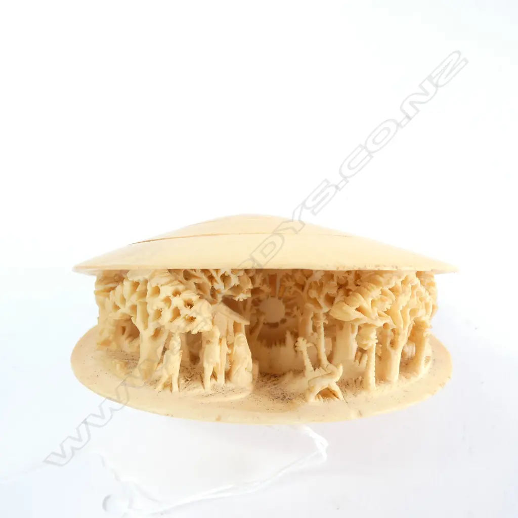 IVORY DREAM SHELL L. 80MM Image 1++