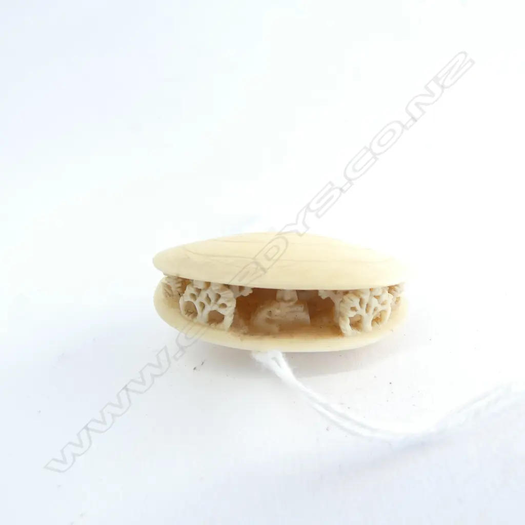 SMALL IVORY DREAM SHELL L. 40MM Image 1++