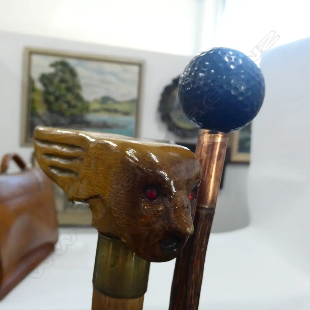 2 WALKING STICKS Image 1++