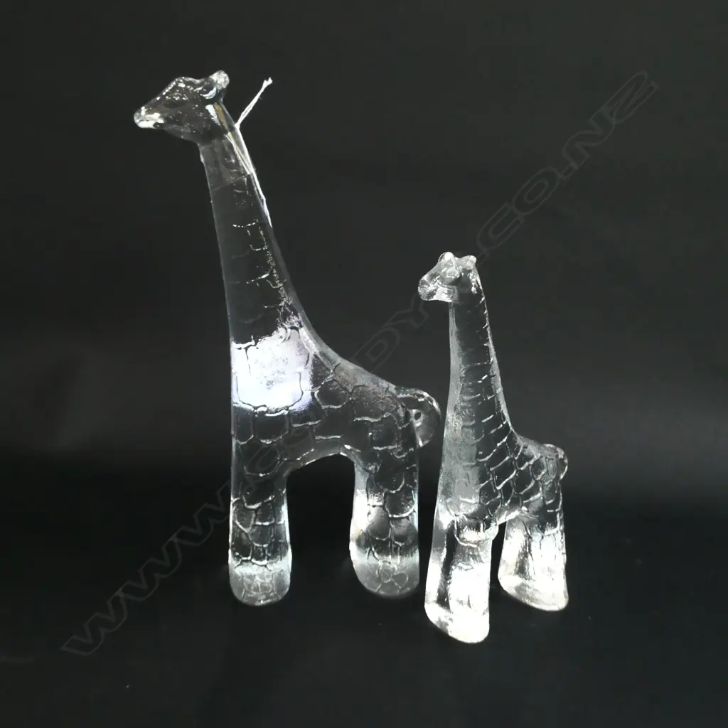 A PAIR OF GLASS KOSTA BODA GIRAFFES H 240 MM Image 1++