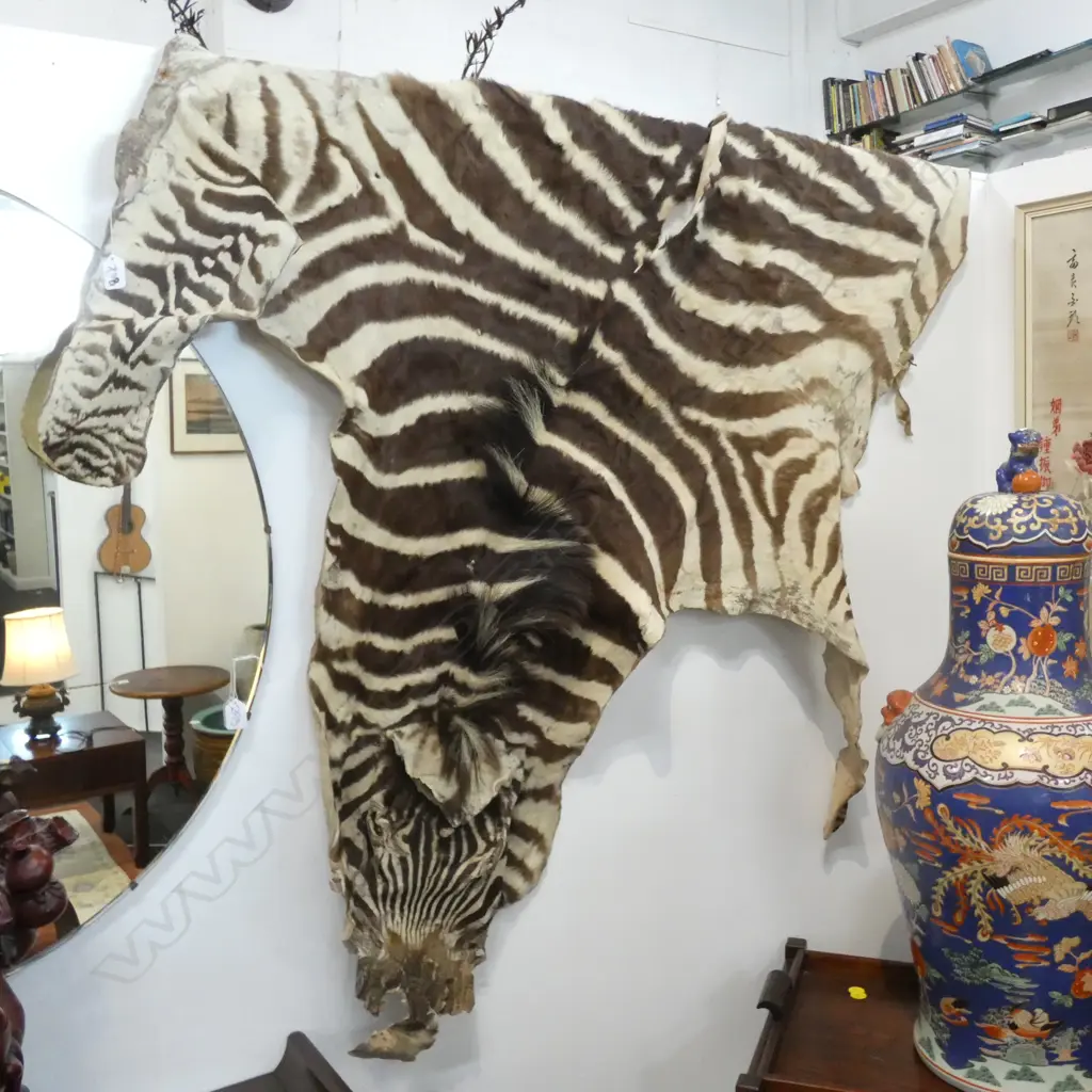 ZEBRA HIDE, FAULTS, L.2600mm Image 1++