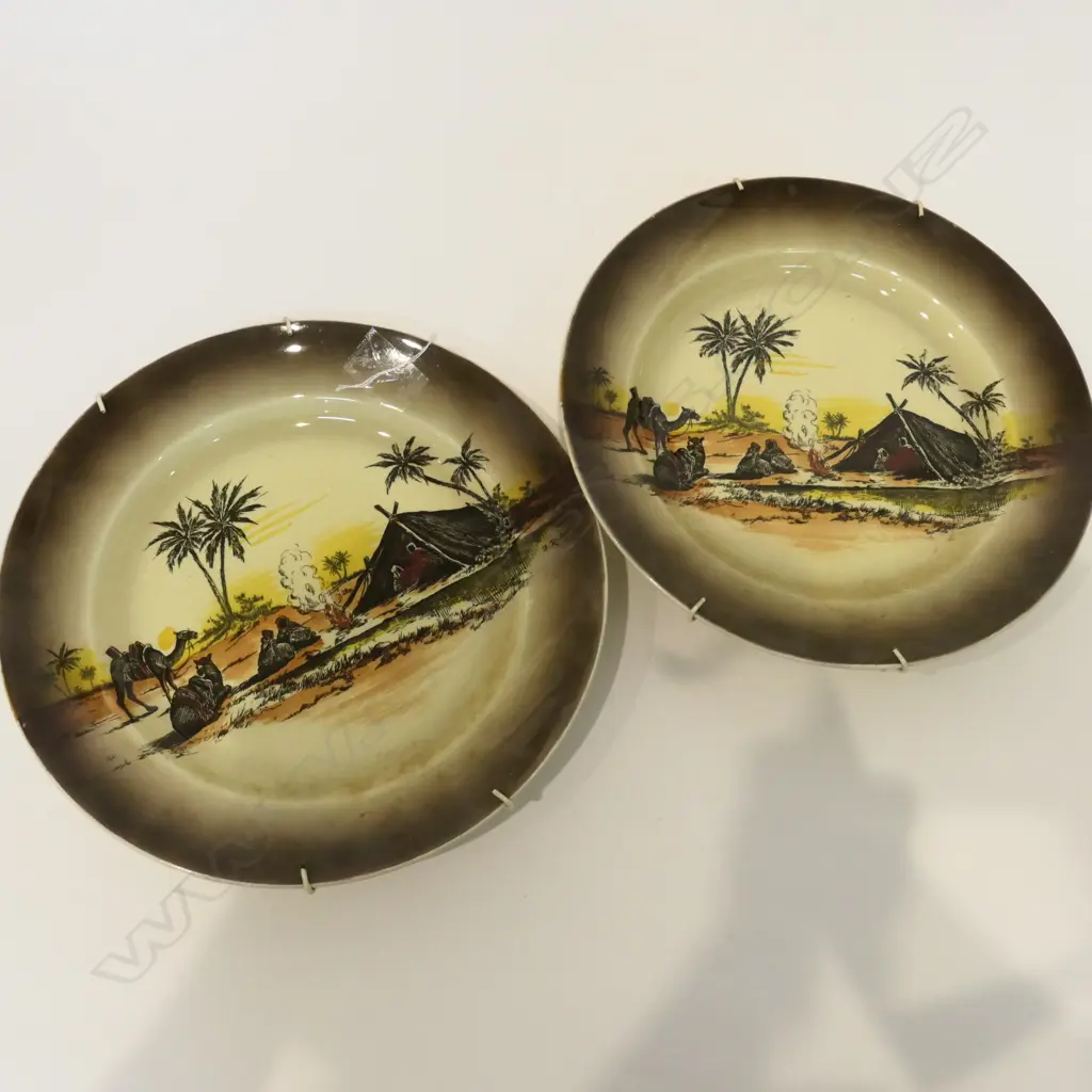 2 ROYAL STAFFORDSHIRE HOMELAND SERIES PLATES D 250 MM Image 1++
