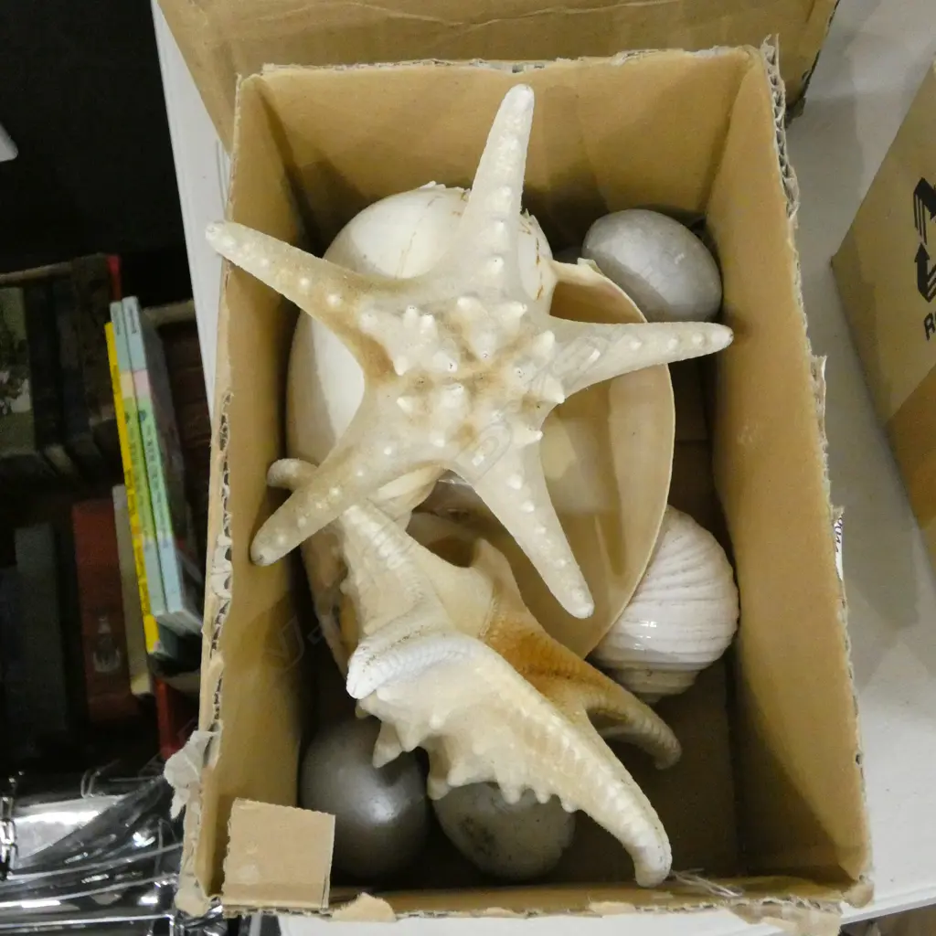 LOT ASST SHELLS ETC Image 1++