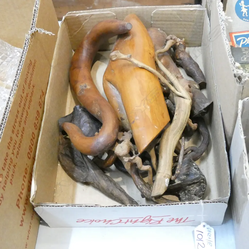 LOT ASST WOOD SPECIMENS Image 1++