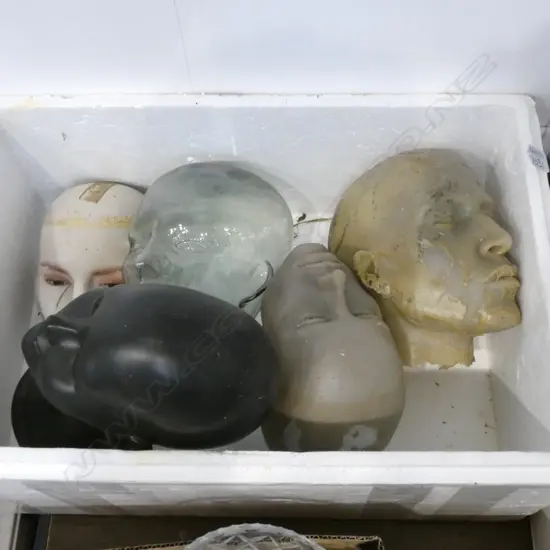 4 MODEL HEADS GLASS +PLASTIC