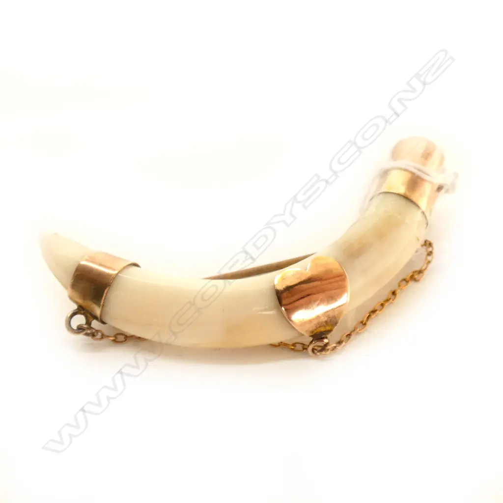 TOOTH & 9CT BROOCH NZ COLONIAL Image 1++