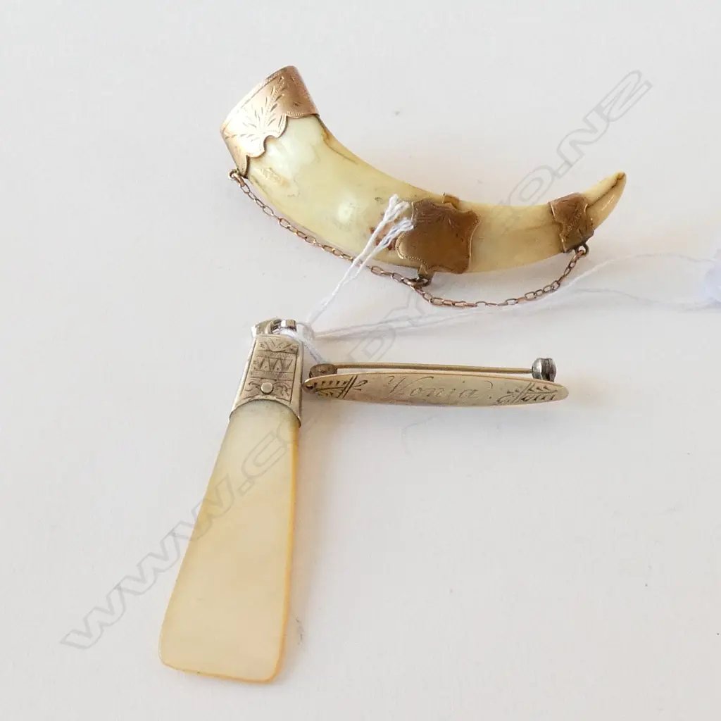 BOAR'S TOOTH & 9CT BROOCH + MOP & SILVER PENDANT Image 1++